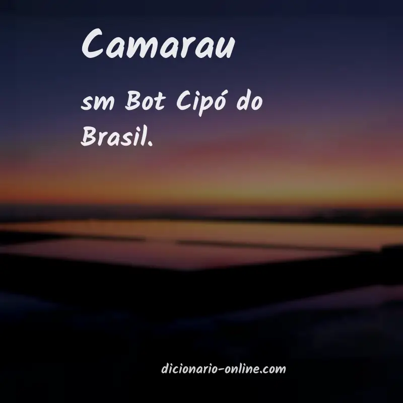 Significado de camarau