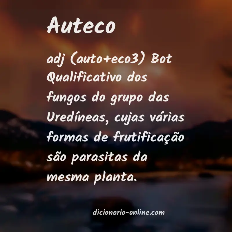 Significado de auteco