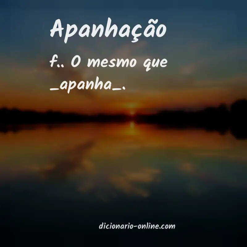 Significado de apanhação