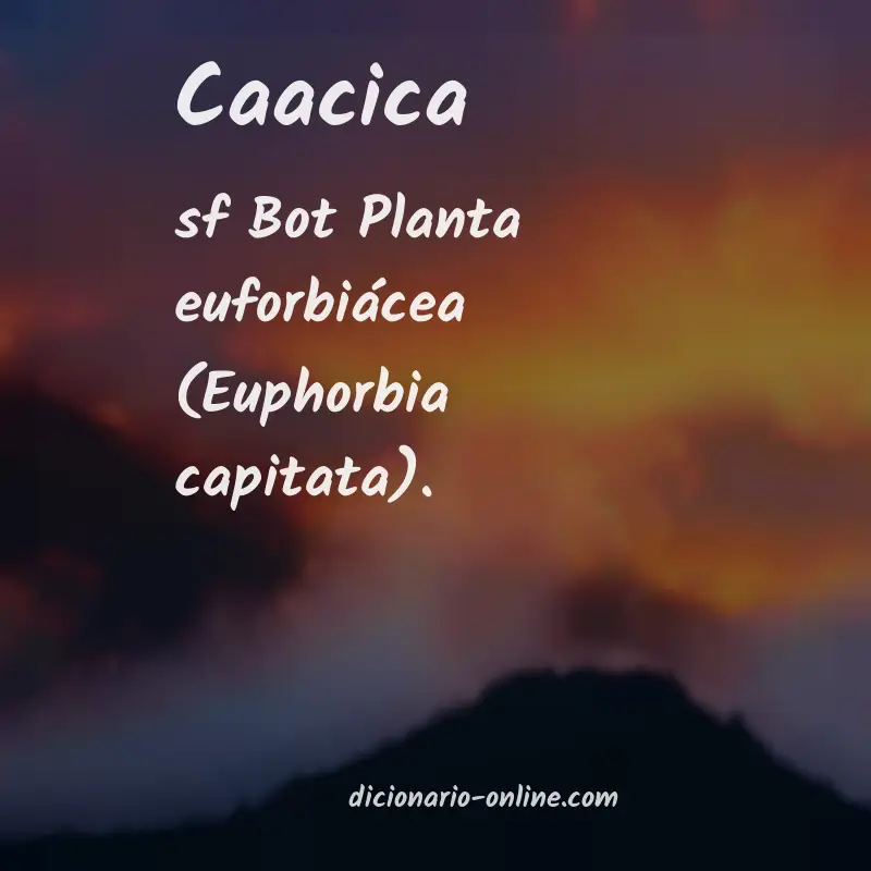 Significado de caacica
