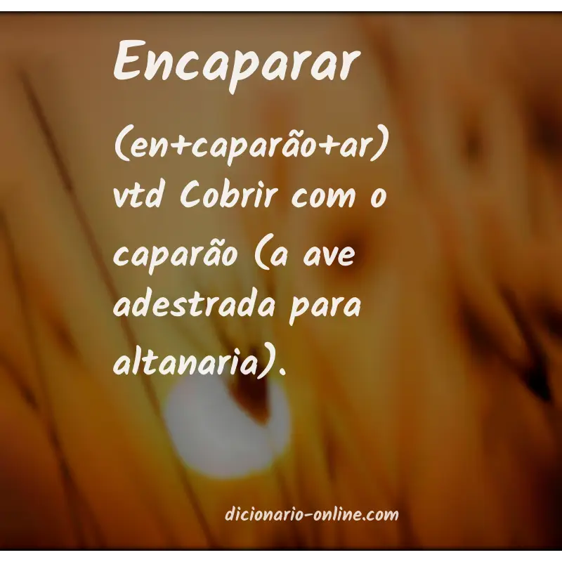 Significado de encaparar