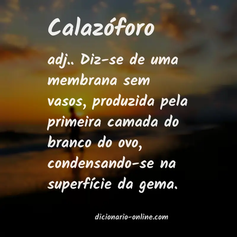 Significado de calazóforo