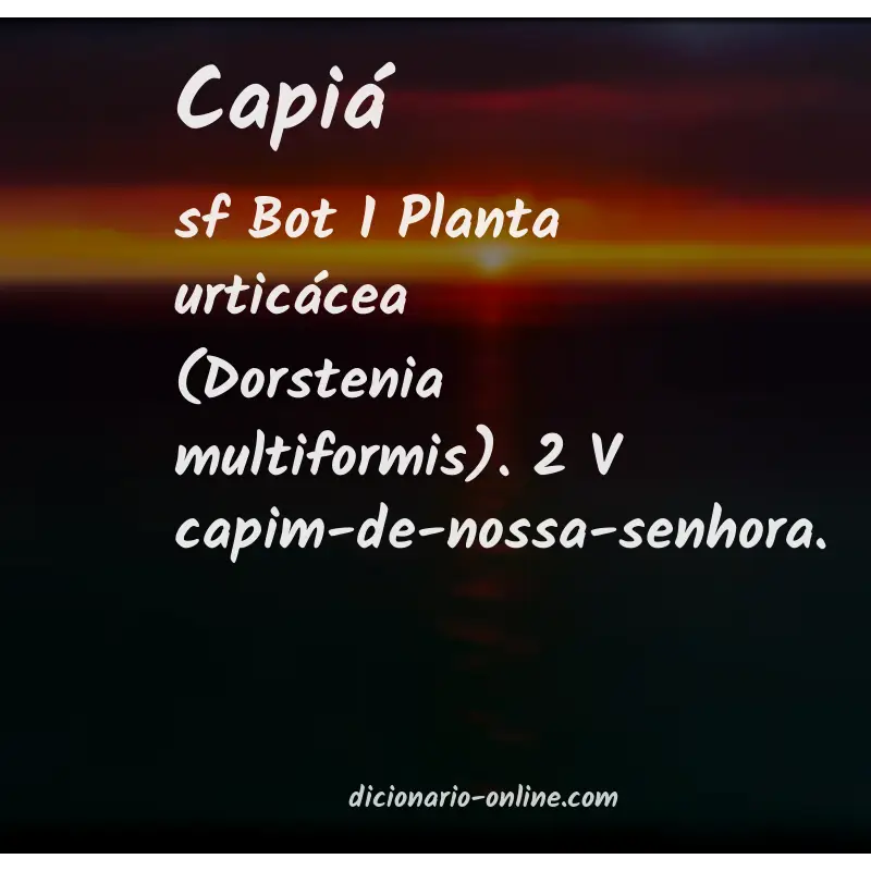 Significado de capiá