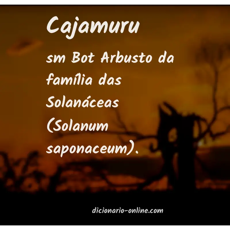 Significado de cajamuru