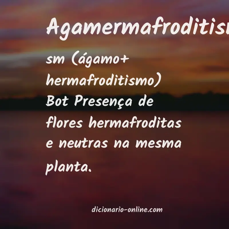 Significado de agamermafroditismo