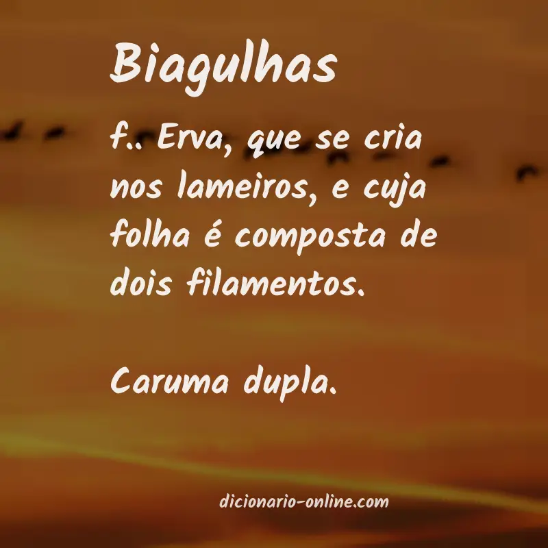 Significado de biagulhas