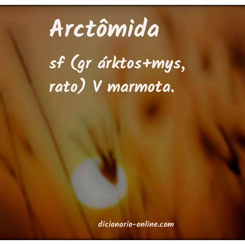 Significado de arctômida