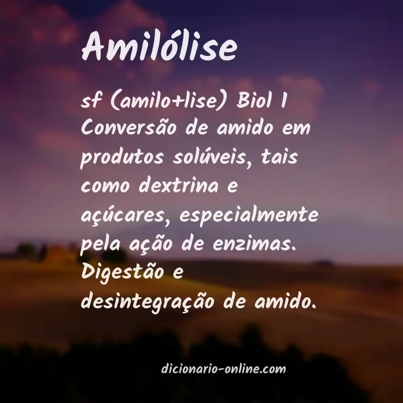 Significado de amilólise