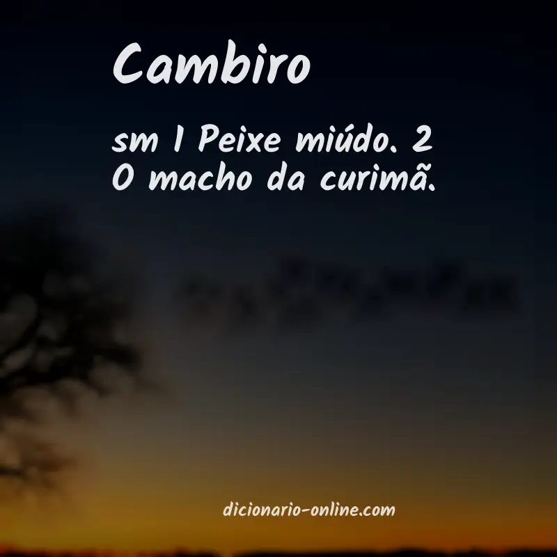 Significado de cambiro