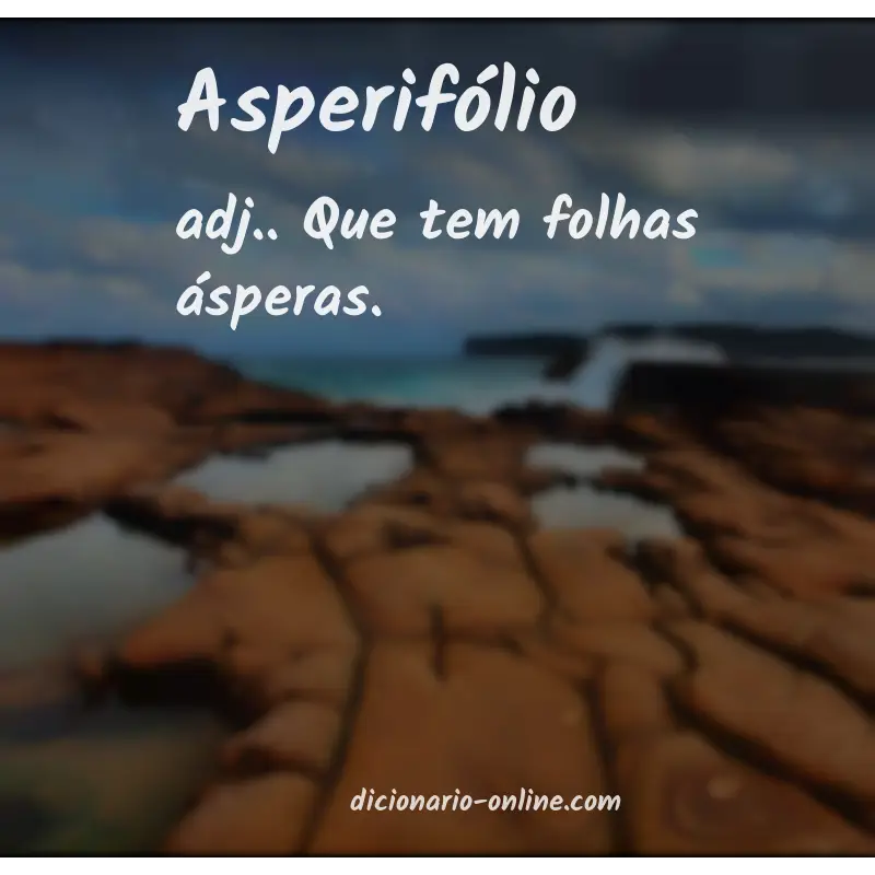 Significado de asperifólio