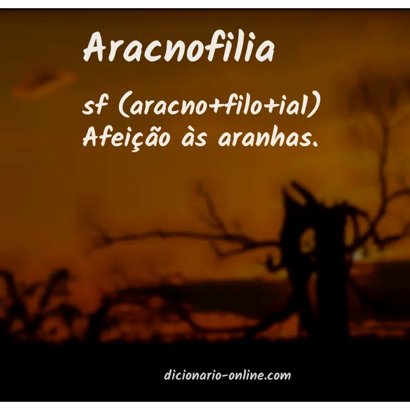 Significado de aracnofilia