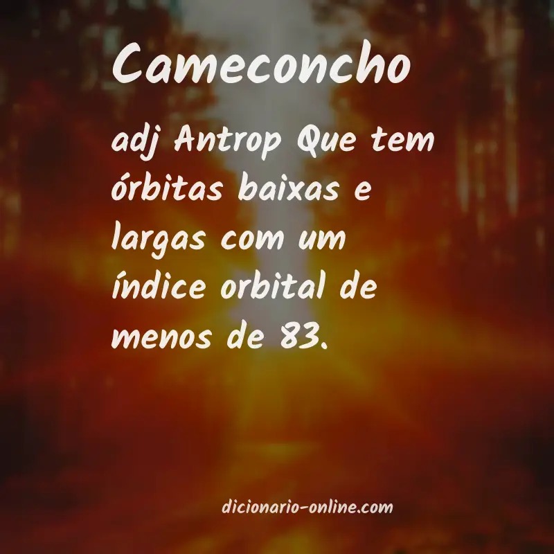 Significado de cameconcho