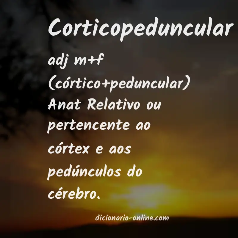 Significado de corticopeduncular