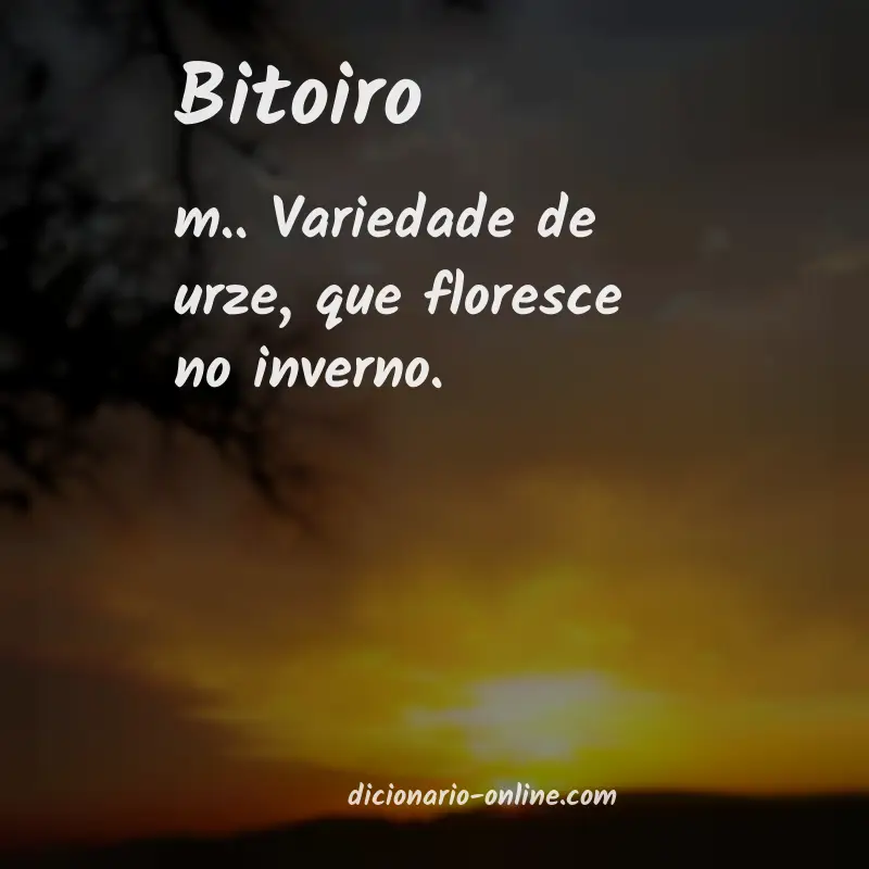Significado de bitoiro