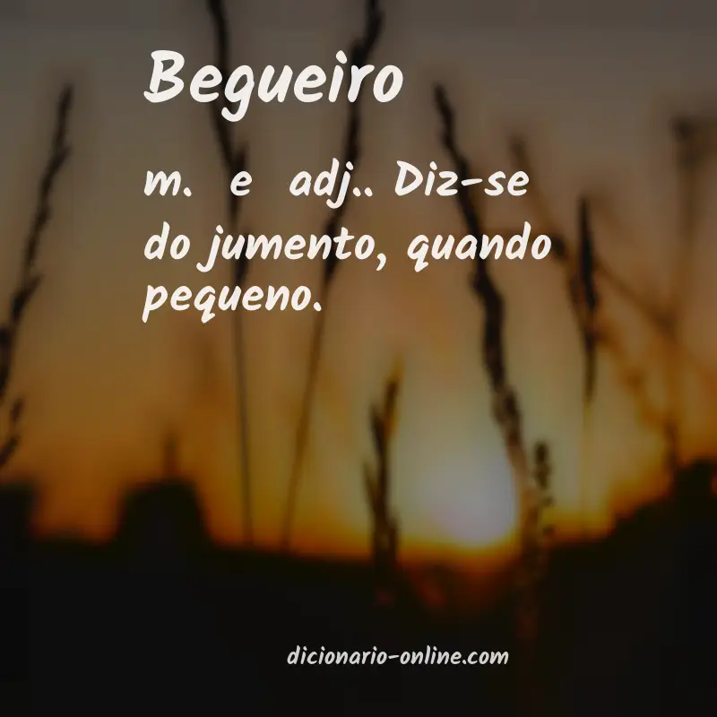 Significado de begueiro