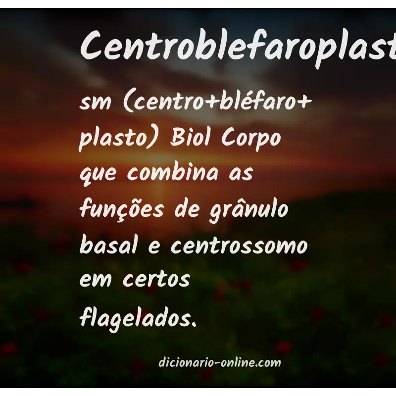 Significado de centroblefaroplasto