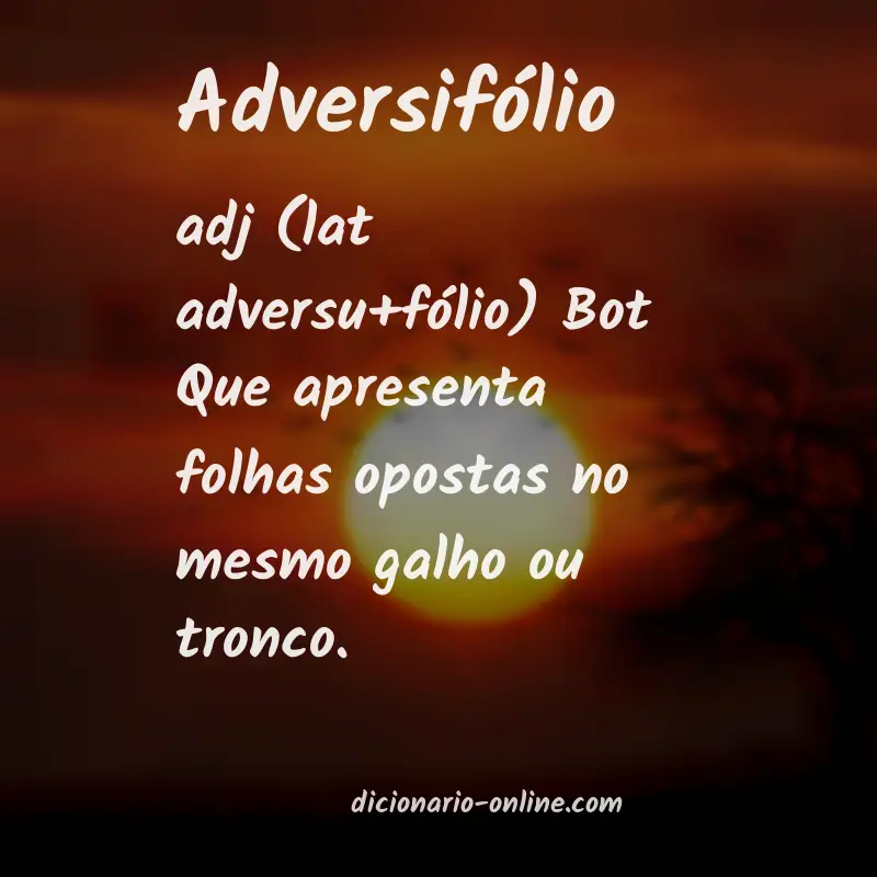 Significado de adversifólio