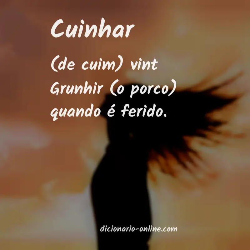 Significado de cuinhar