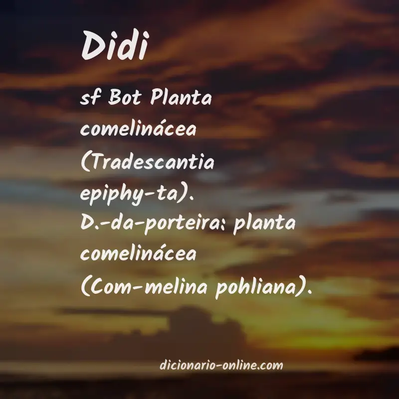 Significado de didi