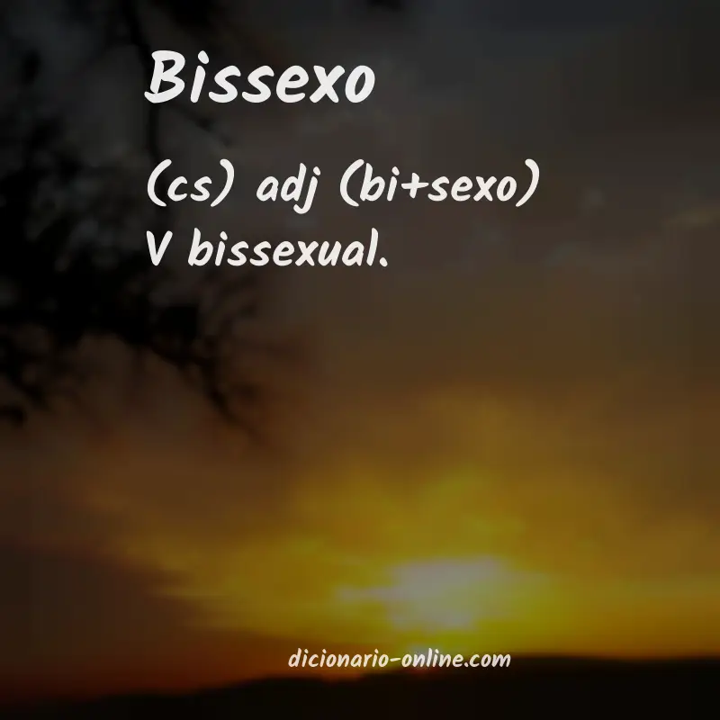 Significado de bissexo