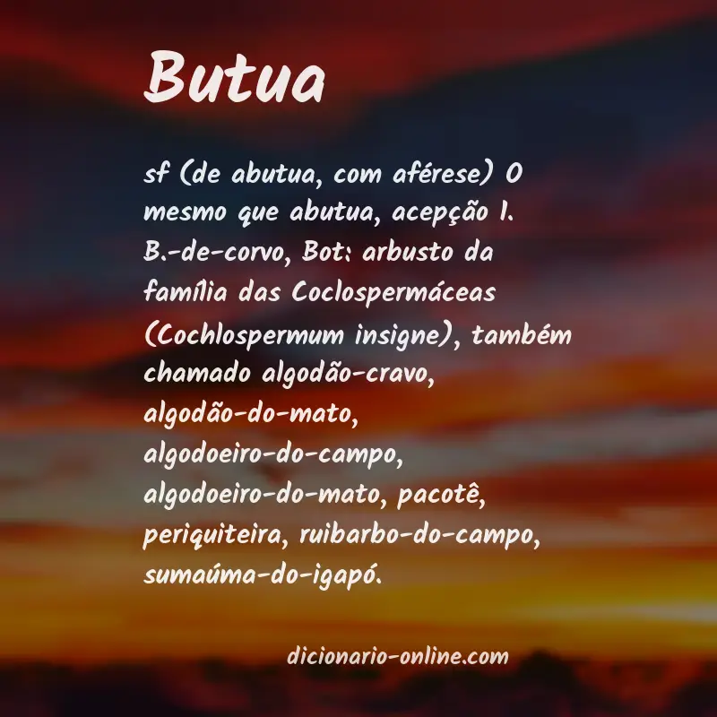 Significado de butua