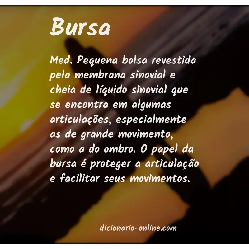 Significado de bursa