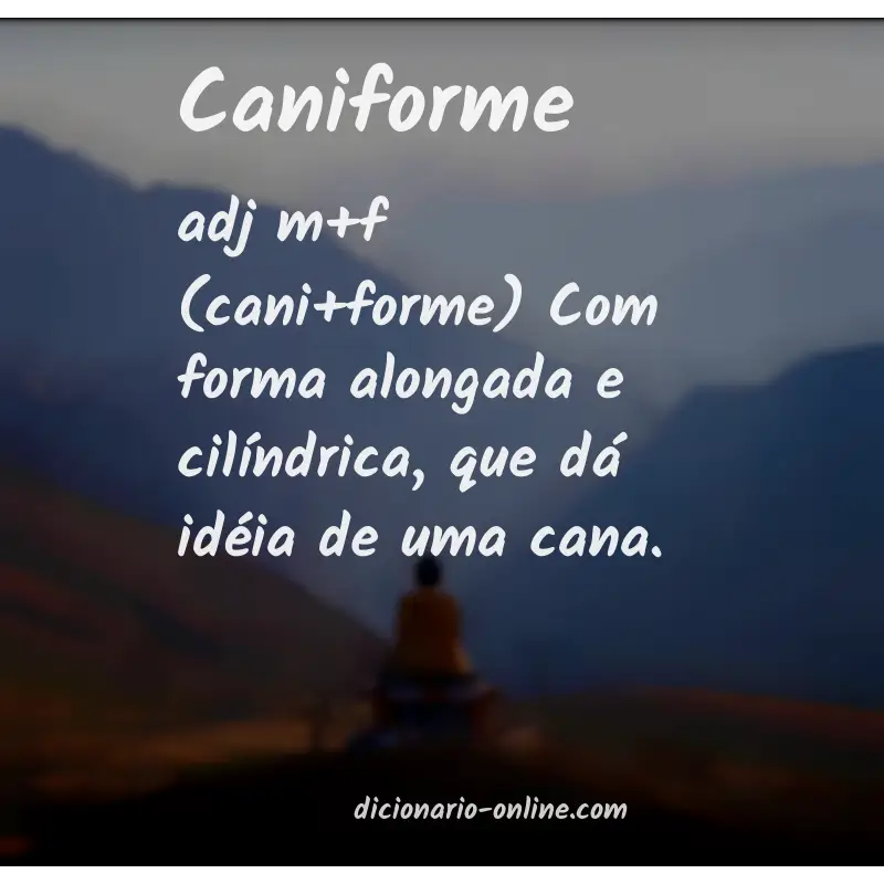 Significado de caniforme