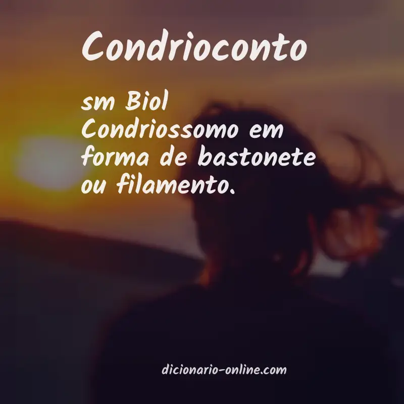 Significado de condrioconto