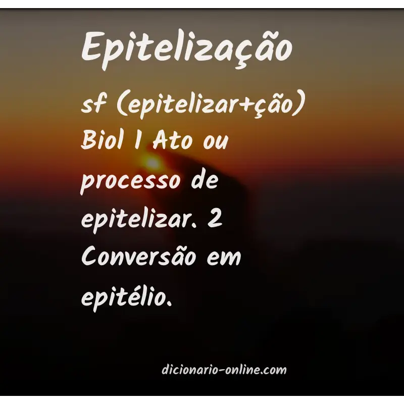 Significado de epitelização