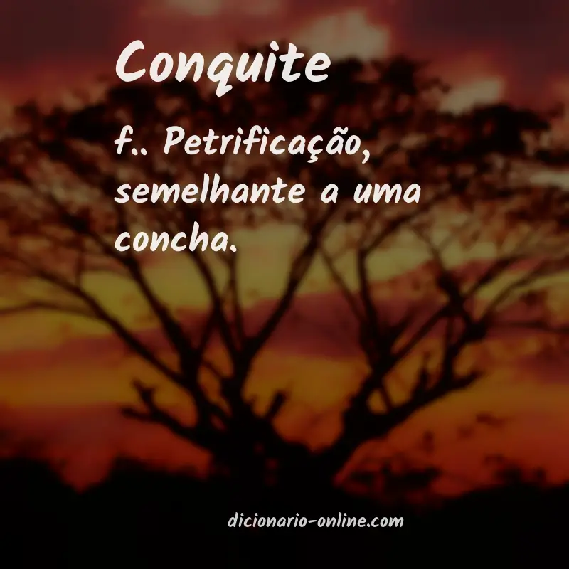 Significado de conquite