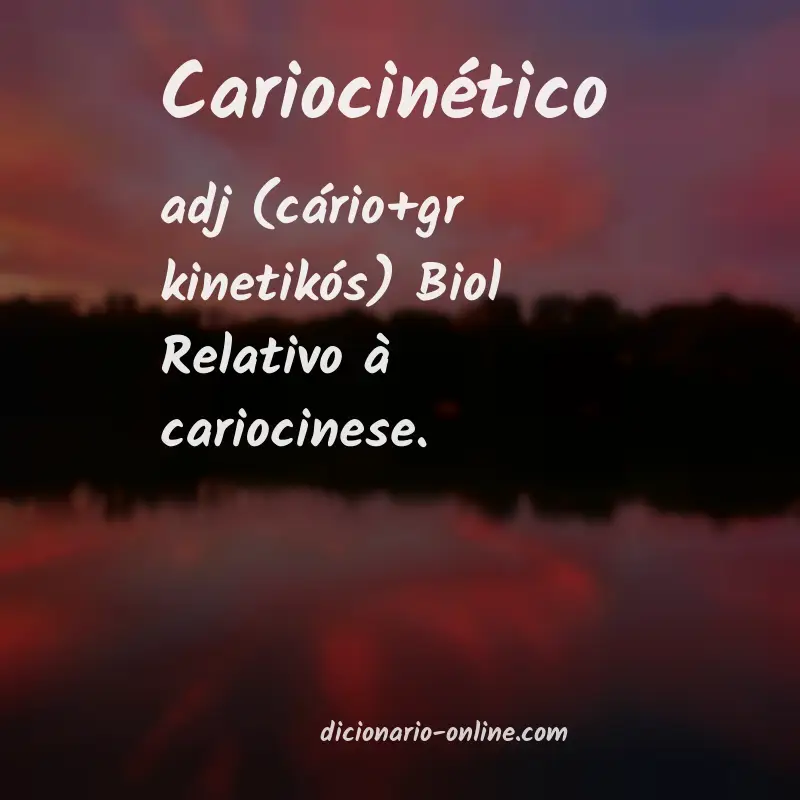 Significado de cariocinético