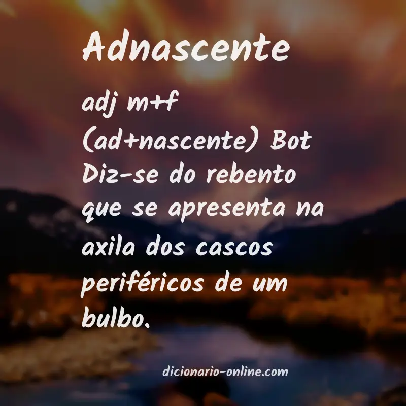 Significado de adnascente