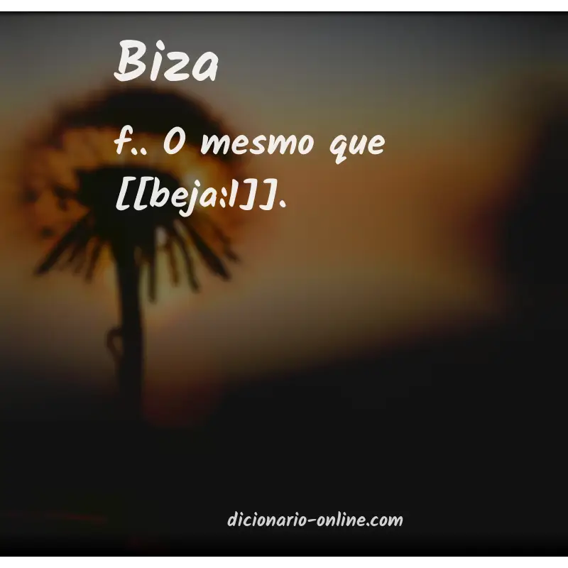 Significado de biza