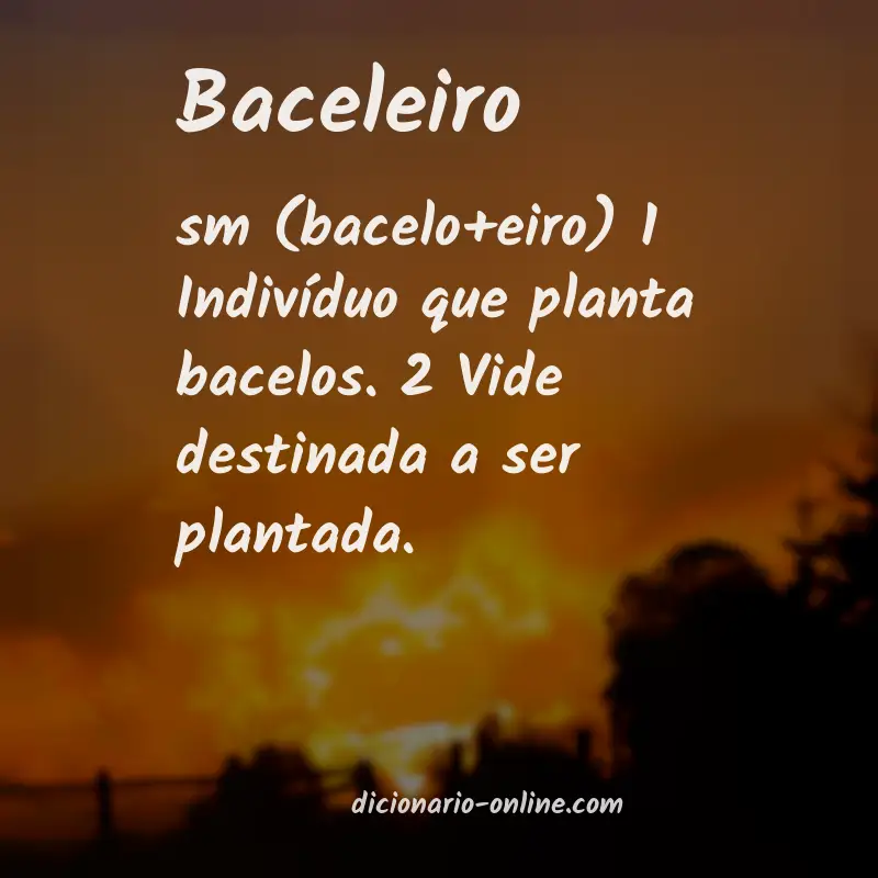 Significado de baceleiro