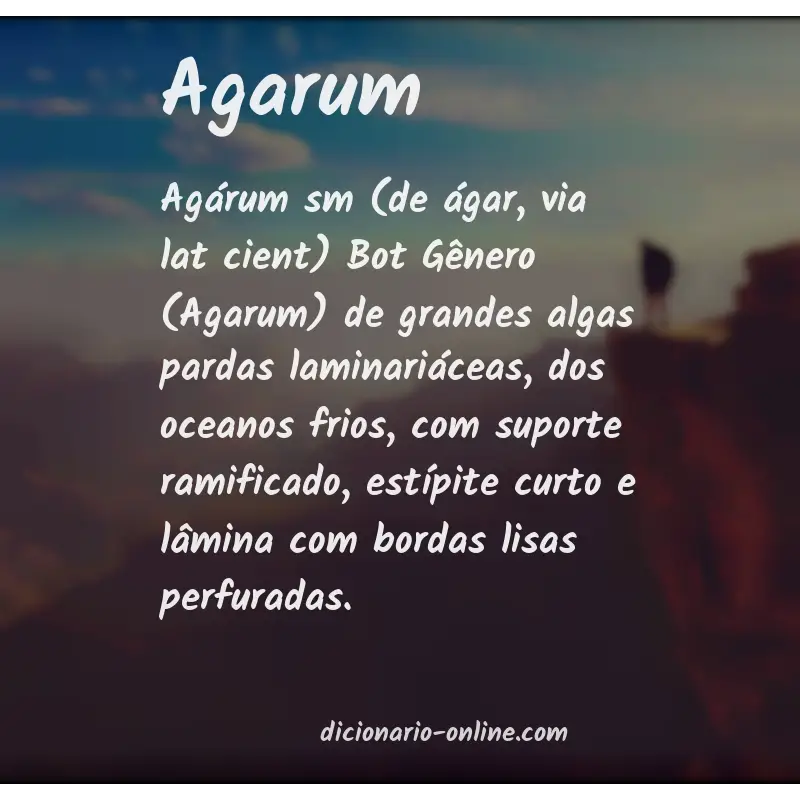 Significado de agarum