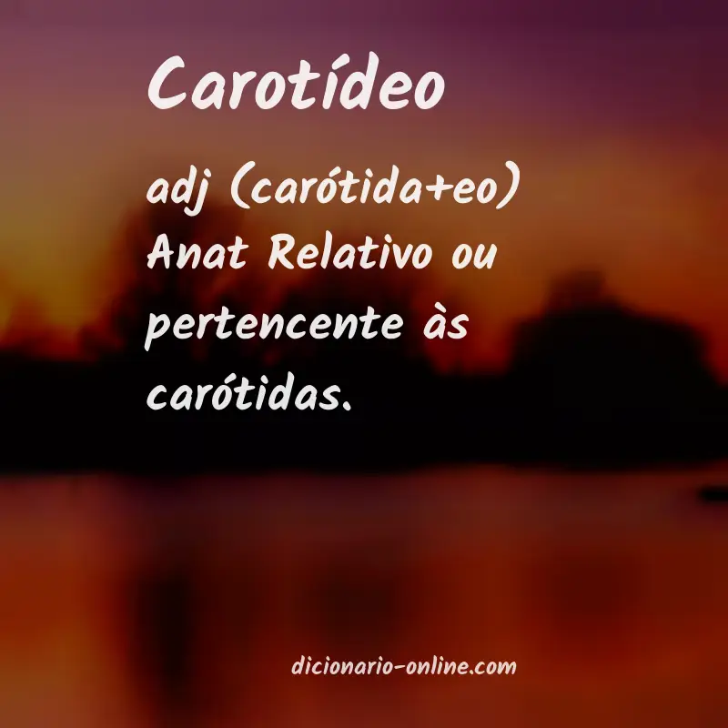 Significado de carotídeo