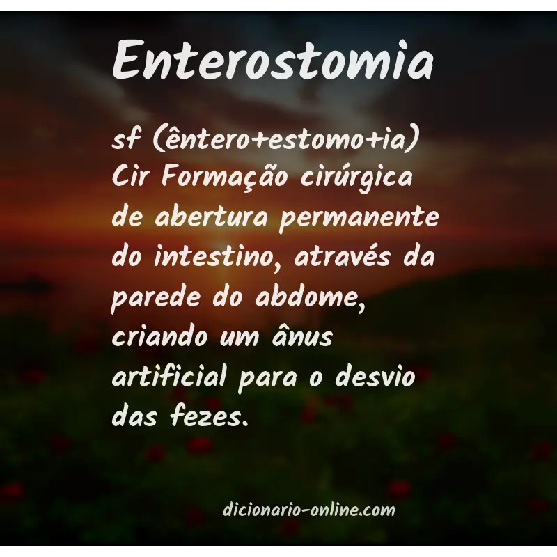 Significado de enterostomia