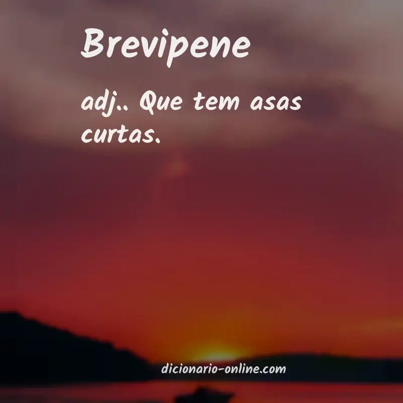 Significado de brevipene