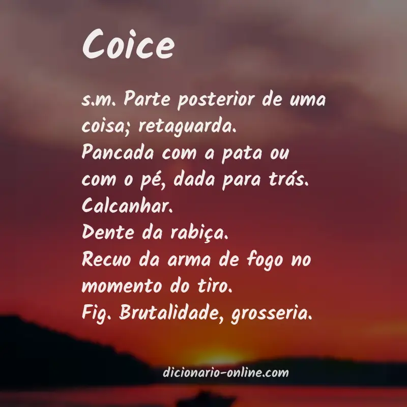 Significado de coice