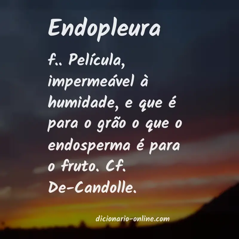 Significado de endopleura