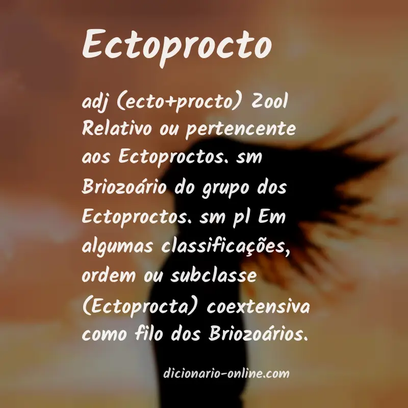 Significado de ectoprocto