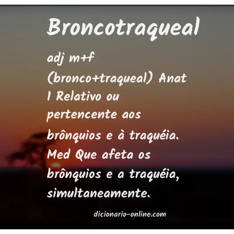 Significado de broncotraqueal