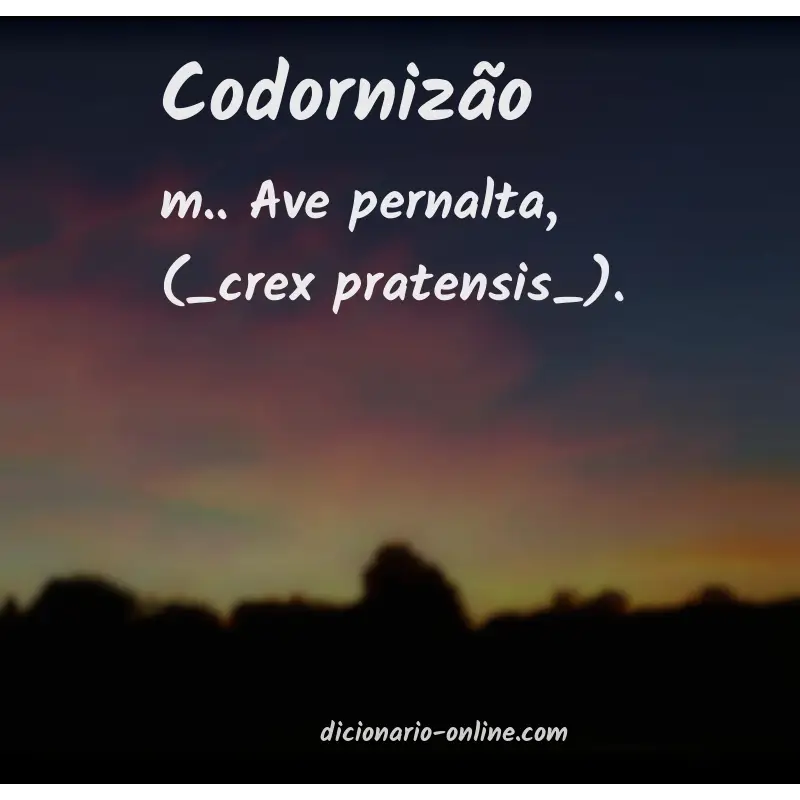 Significado de codornizão