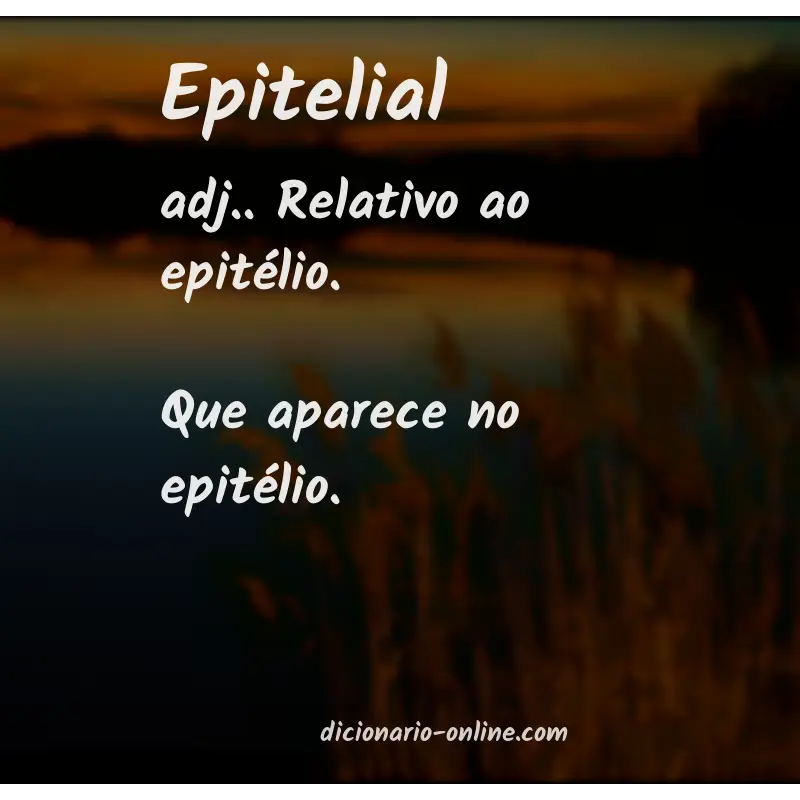 Significado de epitelial