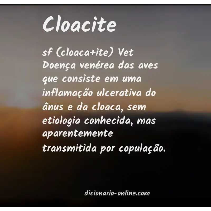 Significado de cloacite