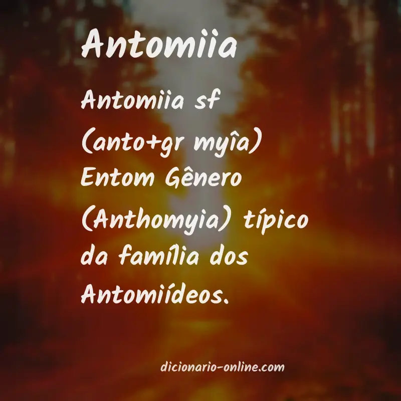 Significado de antomiia