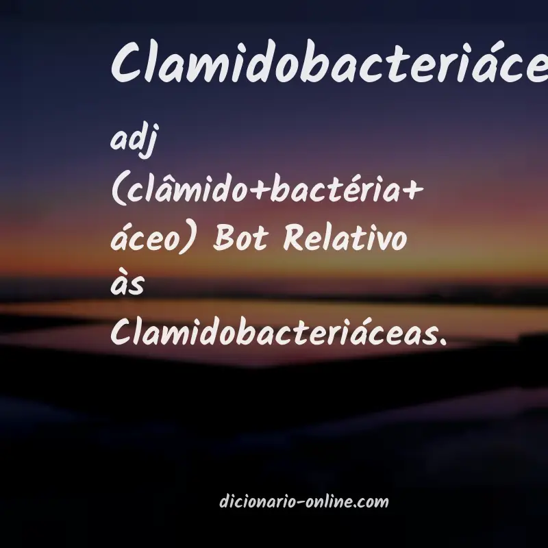 Significado de clamidobacteriáceo