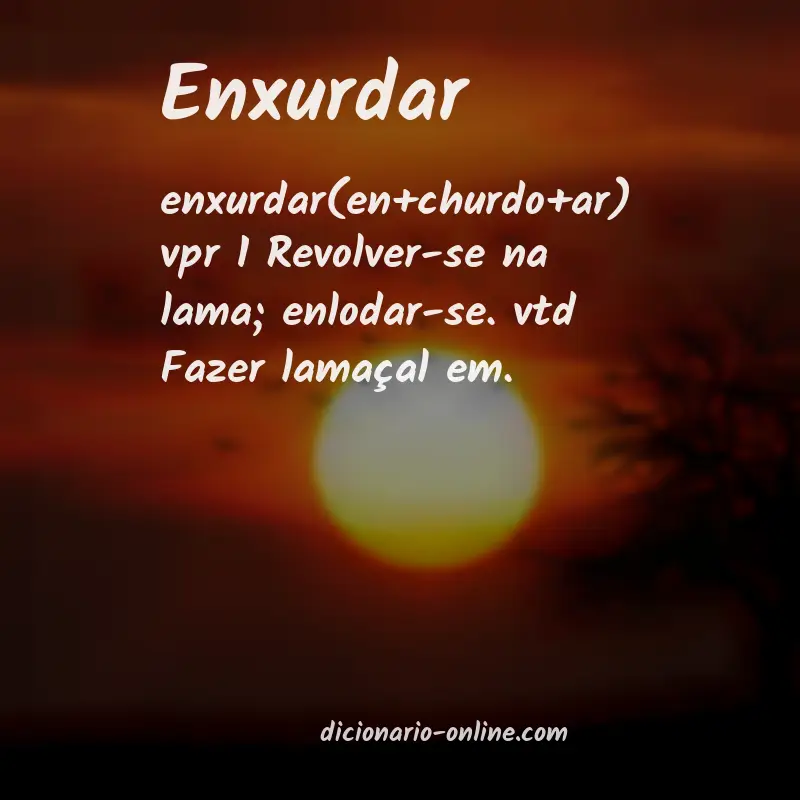 Significado de enxurdar