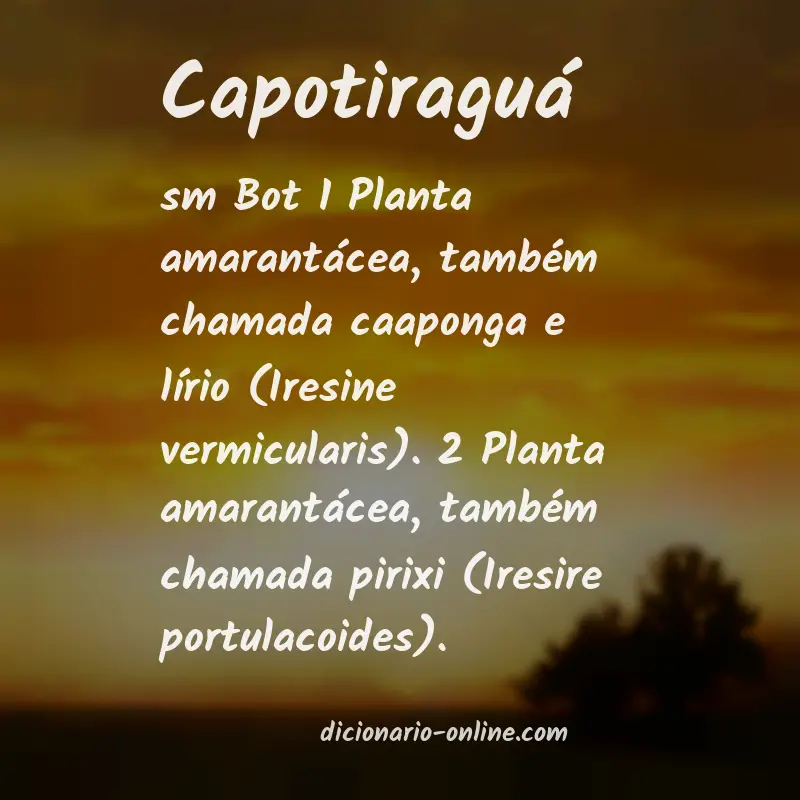 Significado de capotiraguá