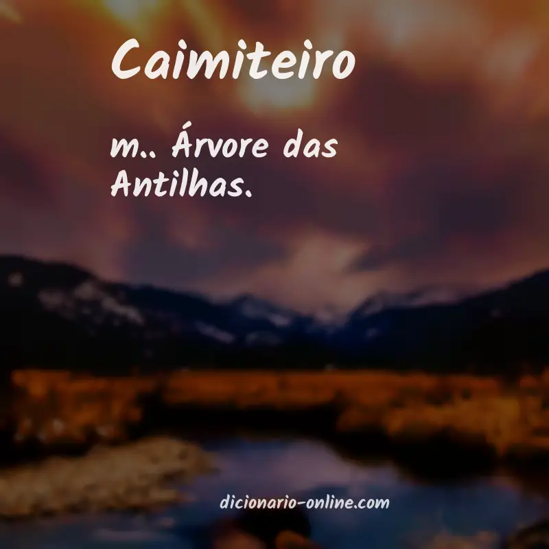 Significado de caimiteiro